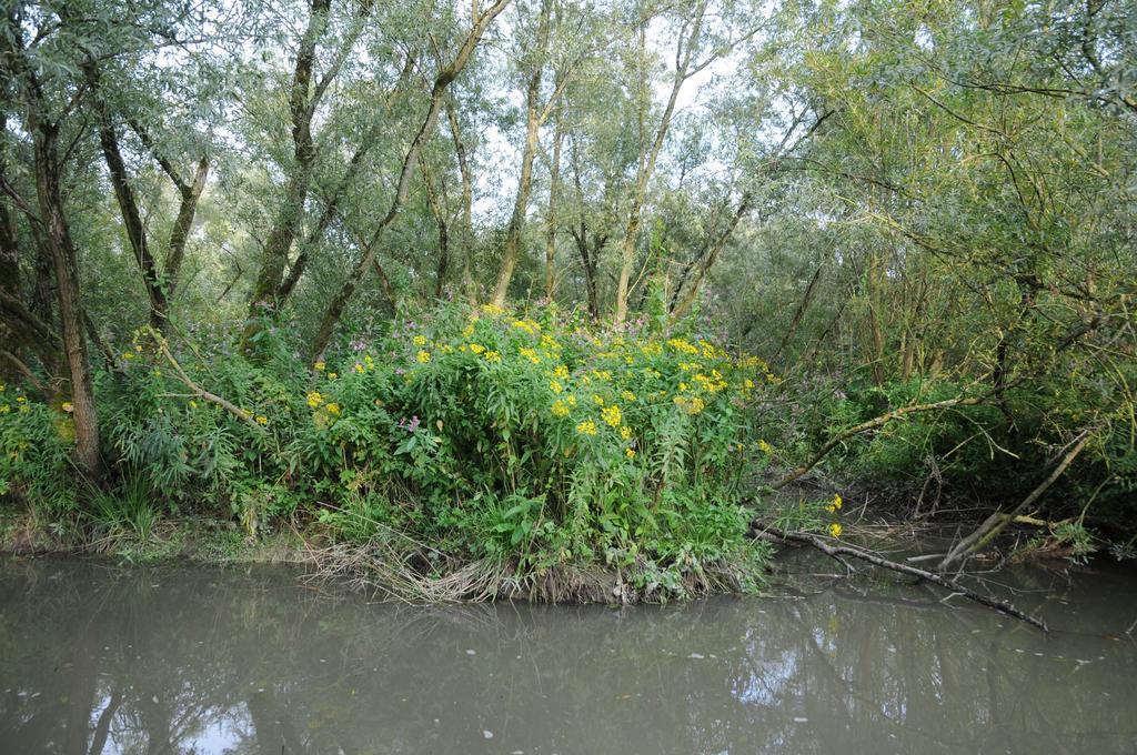 Hotel De Brabantse Biesbosch Werkendam Exteriér fotografie