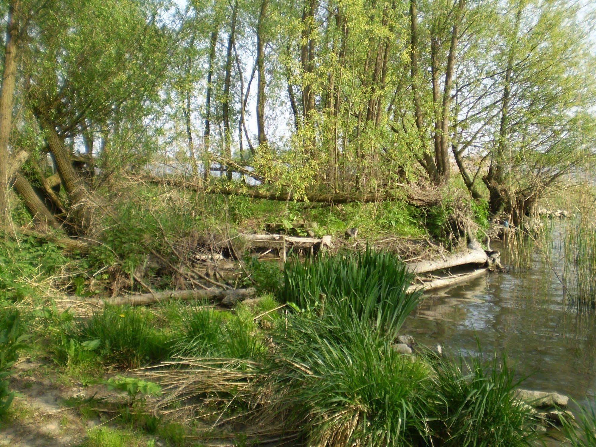 Hotel De Brabantse Biesbosch Werkendam Exteriér fotografie